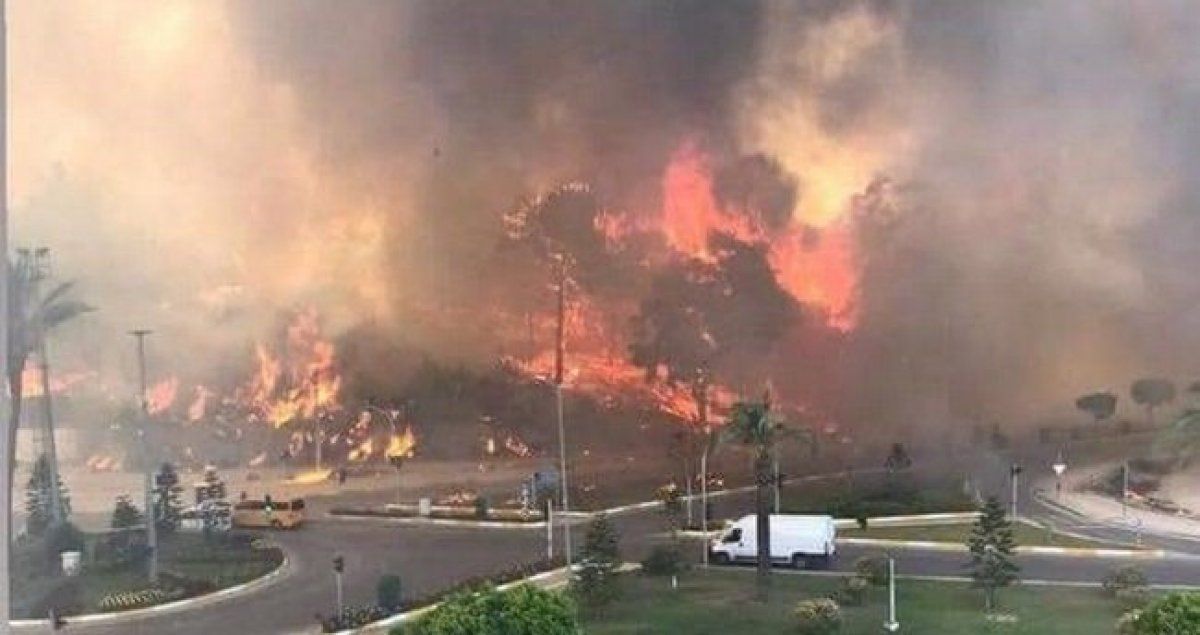Ciğerlerimiz yanıyor: Hangi illerde yangın çıktı? 29 Temmuz yangında son durum...