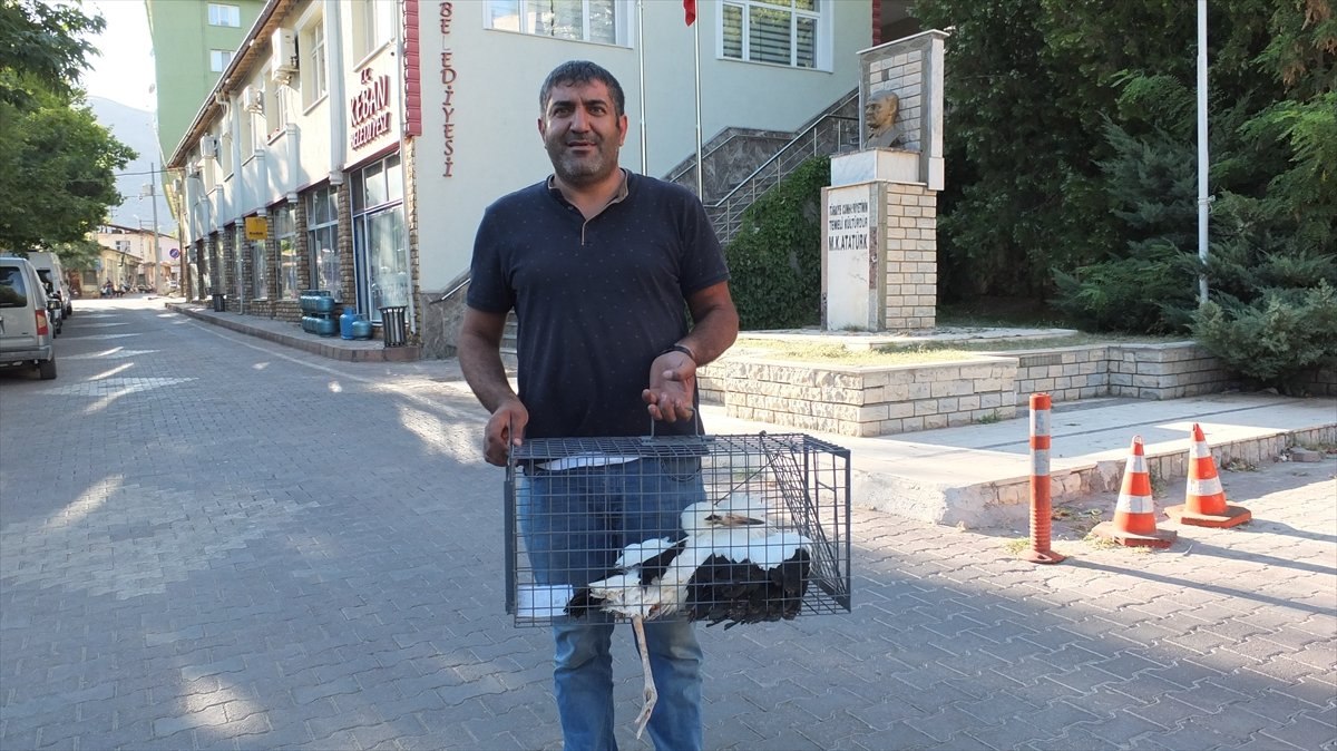 Elazığ'da elektrik teline takılan leyleği itfaiye kurtardı