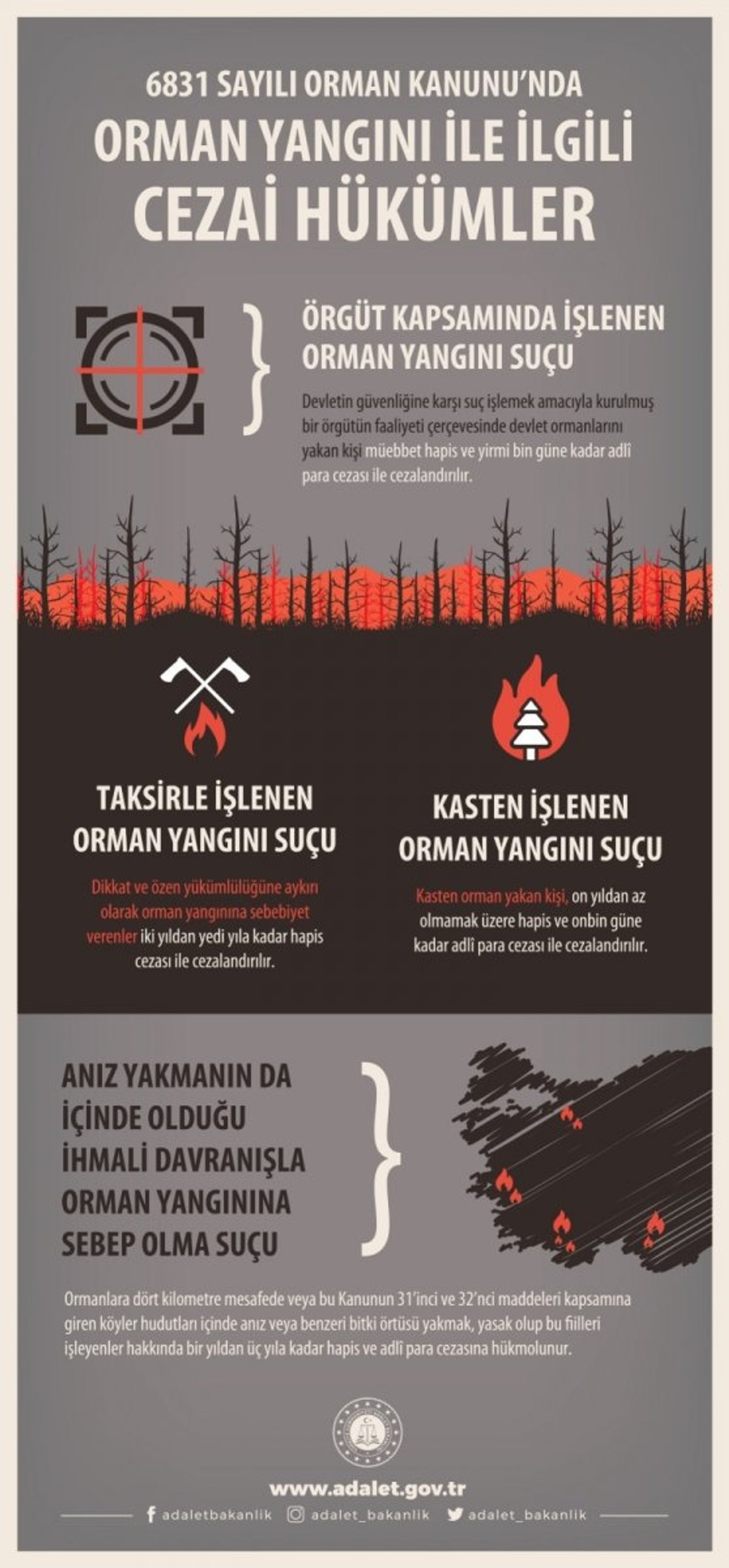 Milyonların merak ettiği soru: Orman yakmanın cezası nedir?