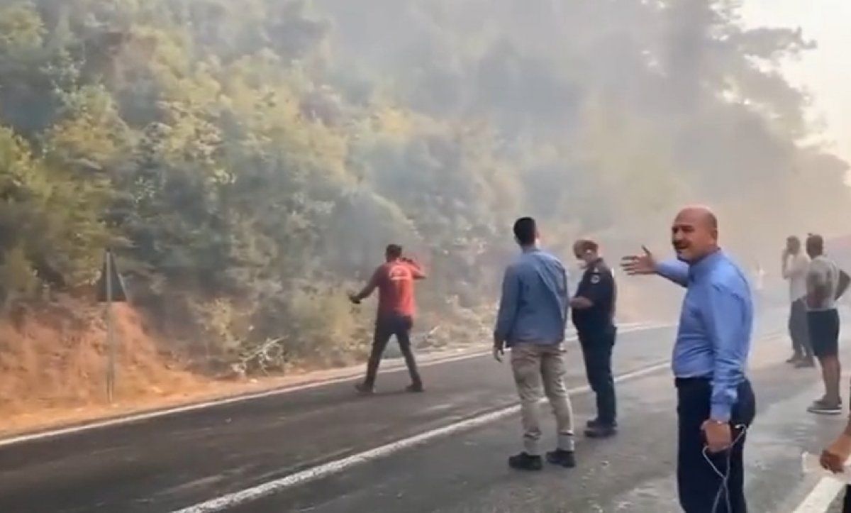 Türkiye'nin orman yangınlarıyla mücadelesi