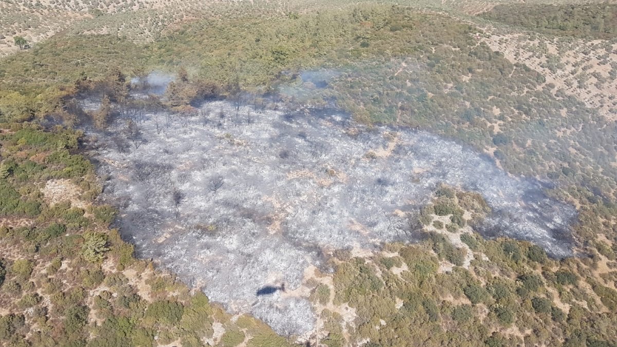 Milas’taki yangın kontrol altına alındı