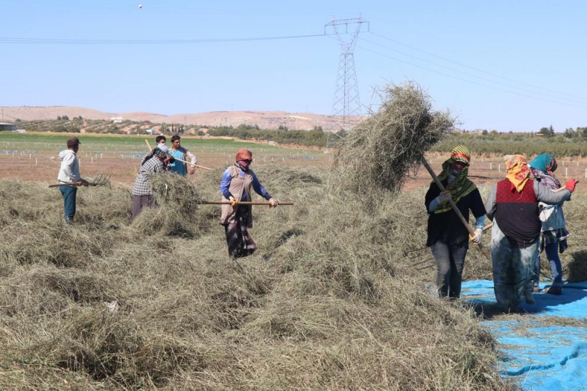 Gaziantep'te nane hasadı sürüyor