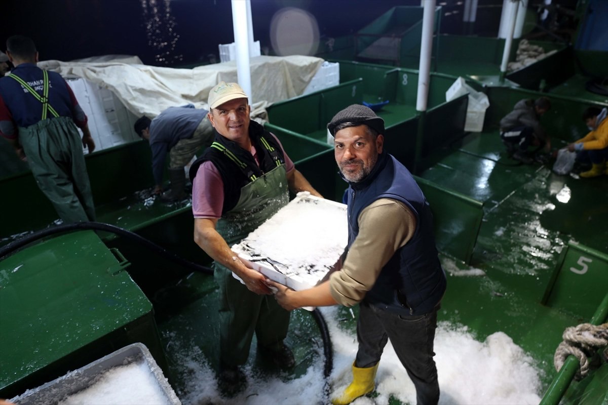 Karadeniz'de hamsi, yüzleri güldürüyor