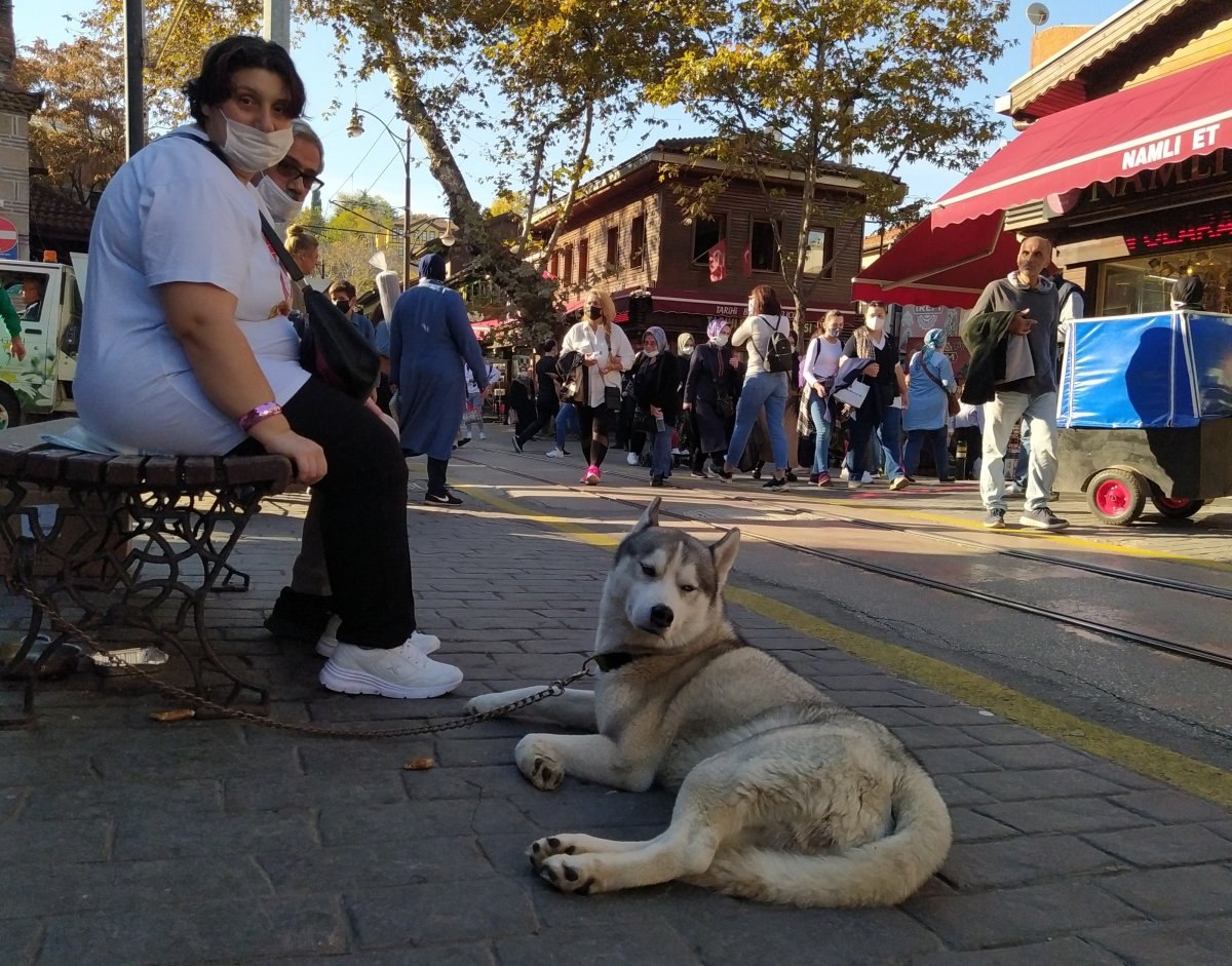 Bursa'daki pastırma sıcakları, emeklileri memnun etti