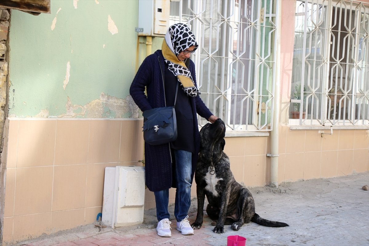Uşak'ta yangında mahsur kalan köpeği itfaiye kurtardı