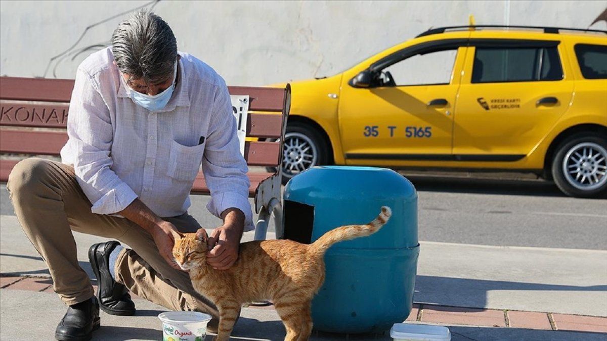 İzmirli taksicinin hayvan sevgisi: Mama kutusunda biriken parayla kedileri besliyor