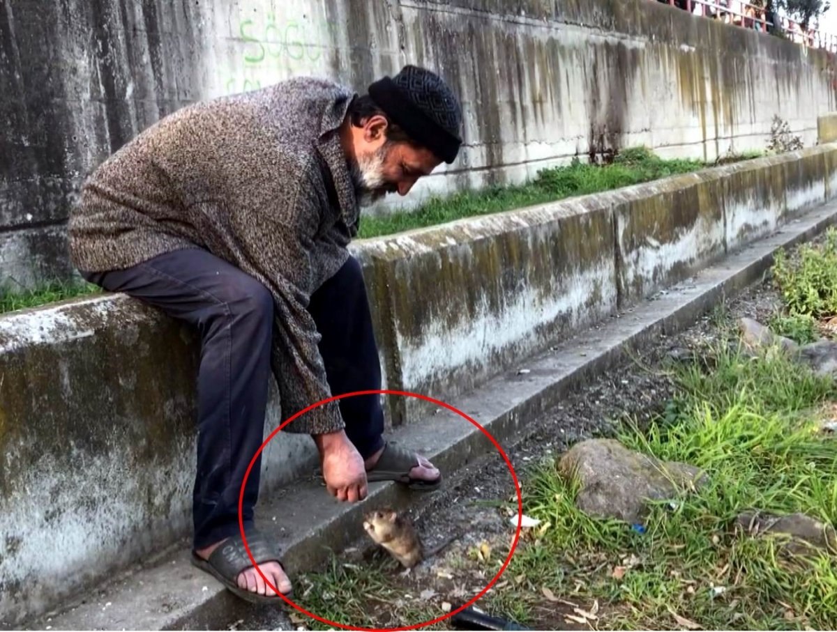 Samsun'da kimsesiz adam ile farenin dostluğu