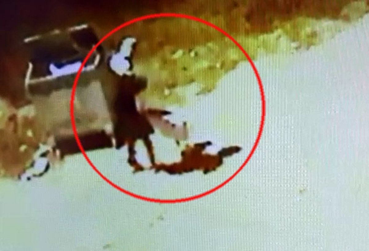 Denizli'de çocuğa saldıran pitbullun sahibi, serbest bırakıldı
