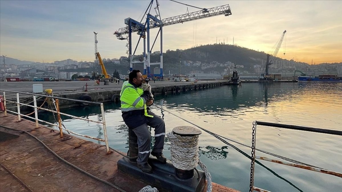 Gemide doğan kedi 'Lolipop', Türkiye'nin birçok limanını gördü