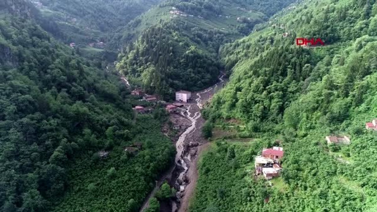 Rize'de ağaç kesen 5 yabancı uyruklu yakalandı
