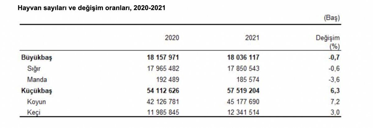 Aralık ayı hayvansal üretim istatistikleri yayınlandı