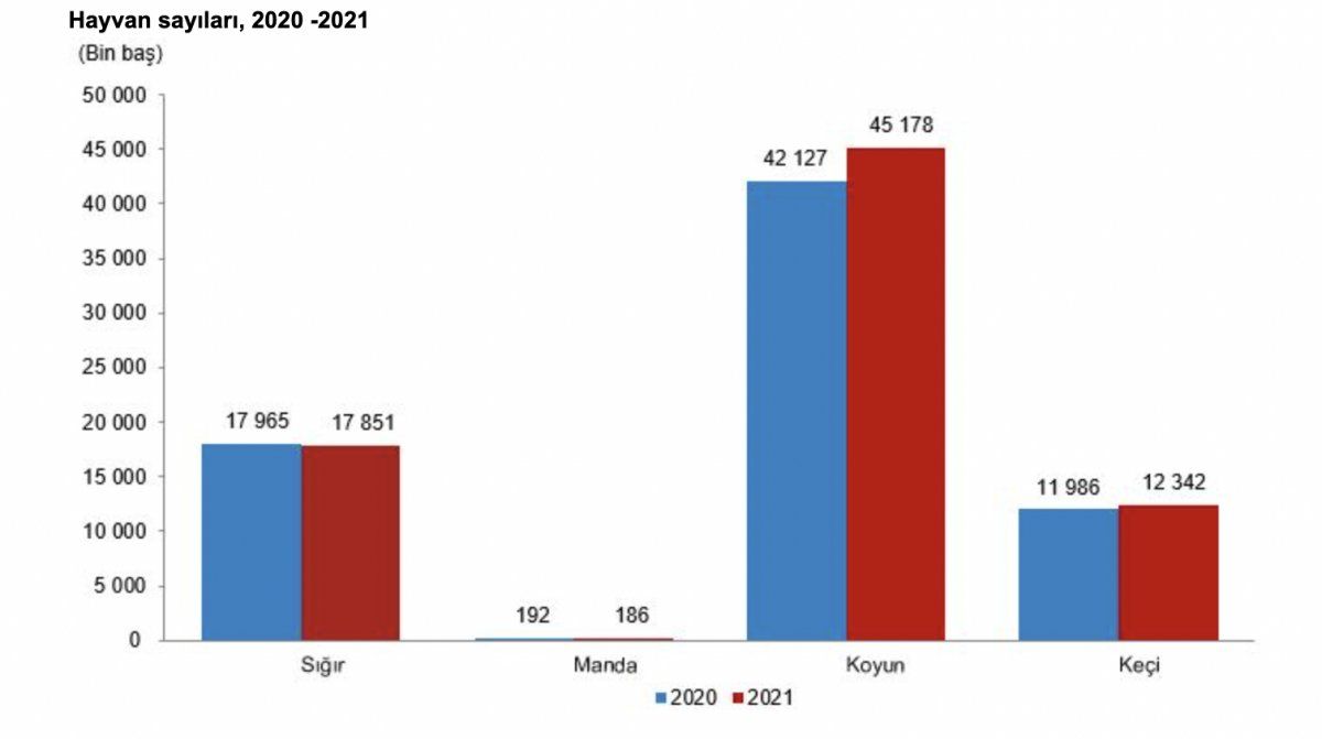 Aralık ayı hayvansal üretim istatistikleri yayınlandı