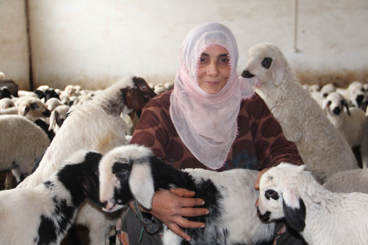 Elazığ’da devlet desteği ile çiftlik sahibi oldu