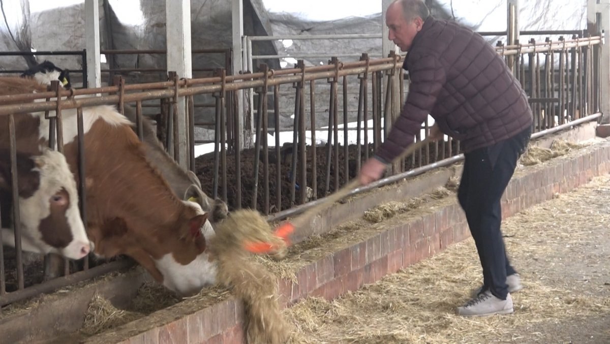 Muharrem İnce’den ahırda basın toplantısı