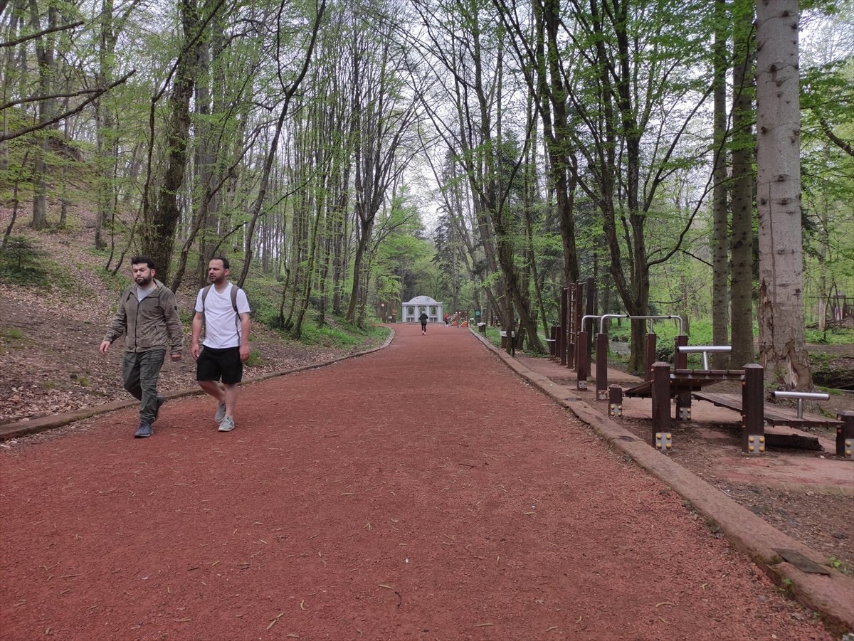 Belgrad Ormanı’na araçlı giriş ücretine vatandaşlardan tepki: Mantığı yok