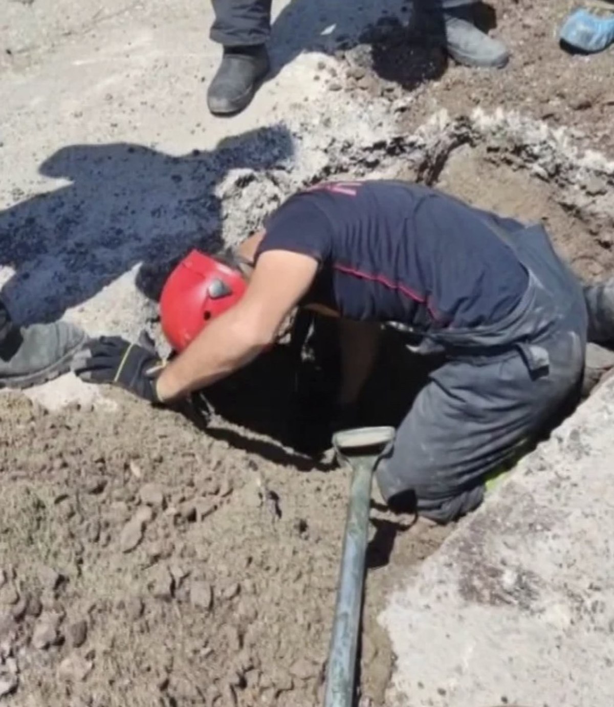 Kocaeli'nde yavru köpek su kanalına düştü
