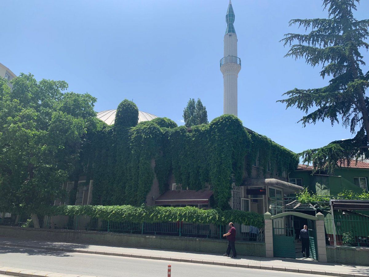 Eskişehir'de "Sarmaşıklı Cami" görenleri büyülüyor