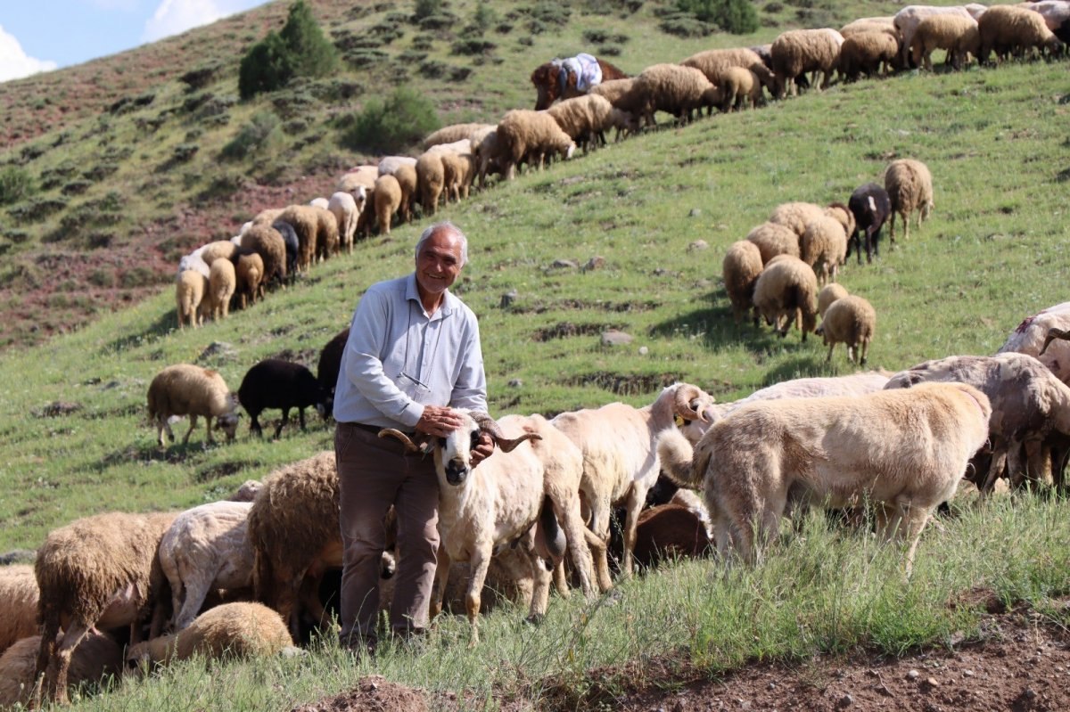 Erzurumlu girişimci, atıl topraklara 16 bin ceviz fidanı dikti