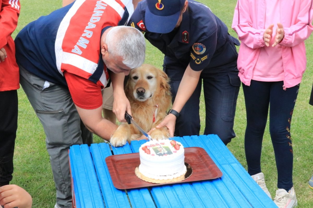 Jandarmanın arama kurtarma köpeği 'Bulut' emekliye ayrıldı