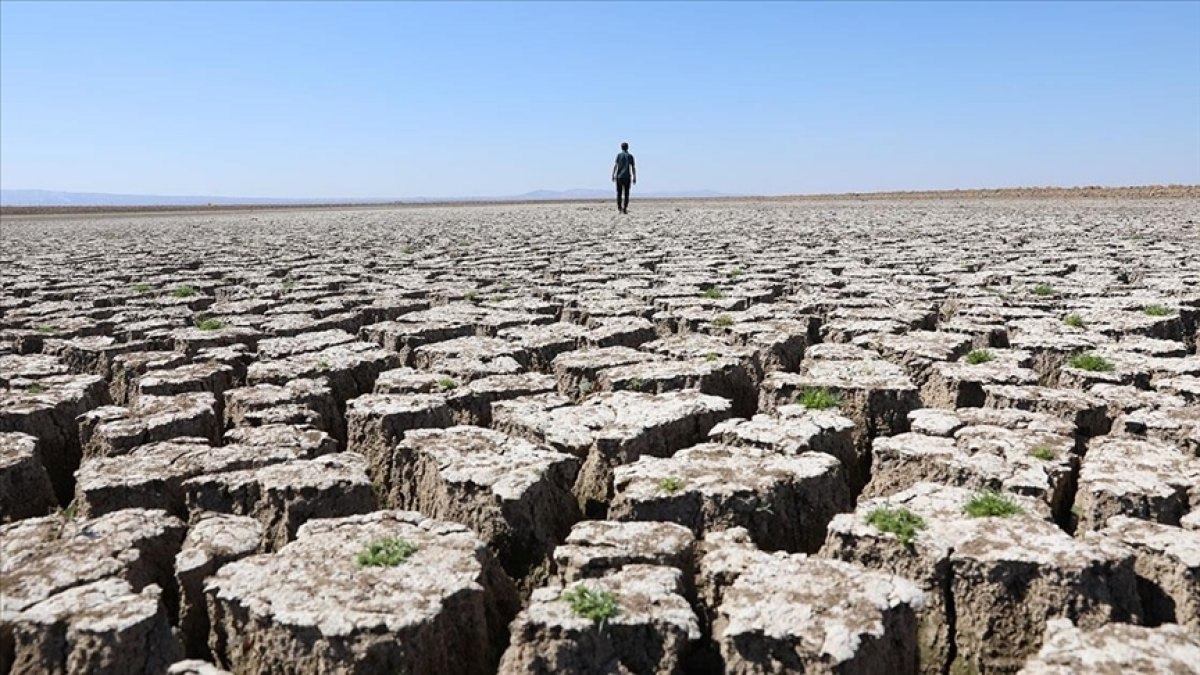 Dünyanın dörtte üçü 2050'ye kadar kuraklıktan etkilenebilir