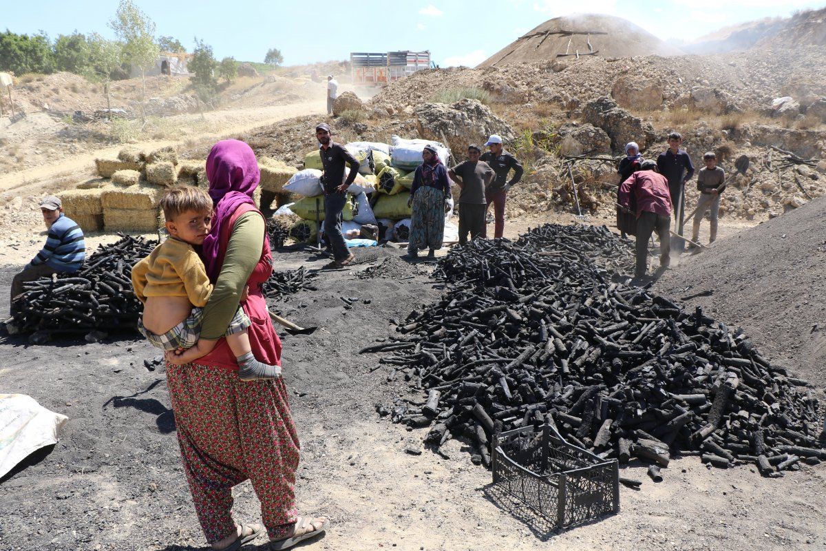 Erzincan'da mevsimlik işçilerin kömür mücadelesi
