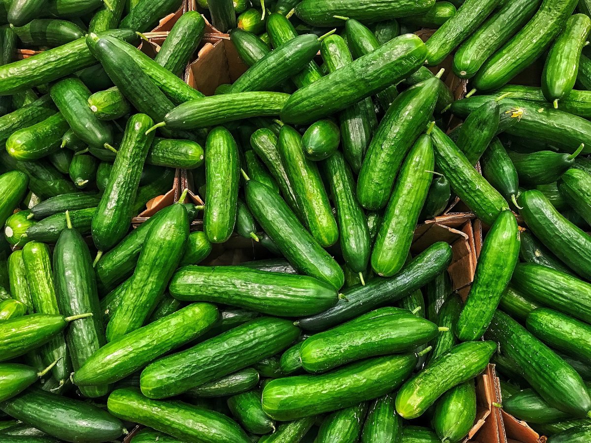 Her gün salatalık yemek için 10 iyi neden