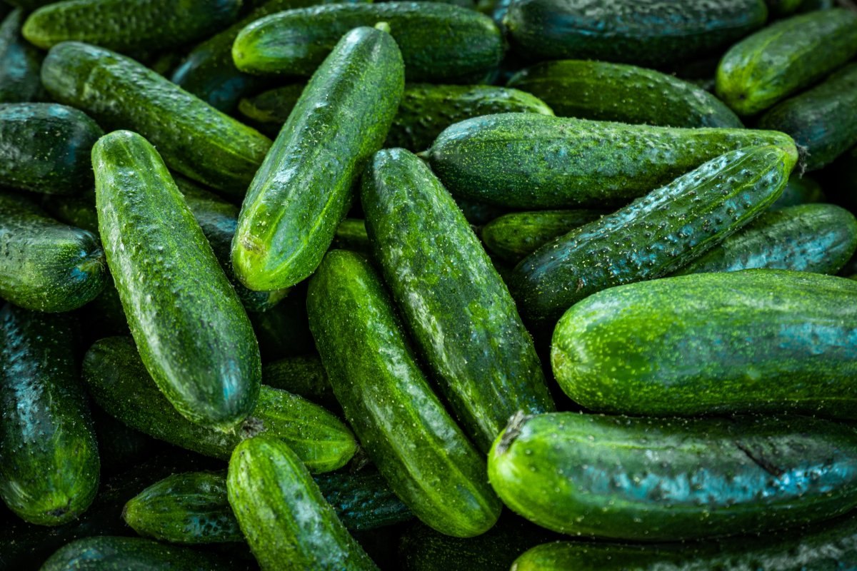 Her gün salatalık yemek için 10 iyi neden