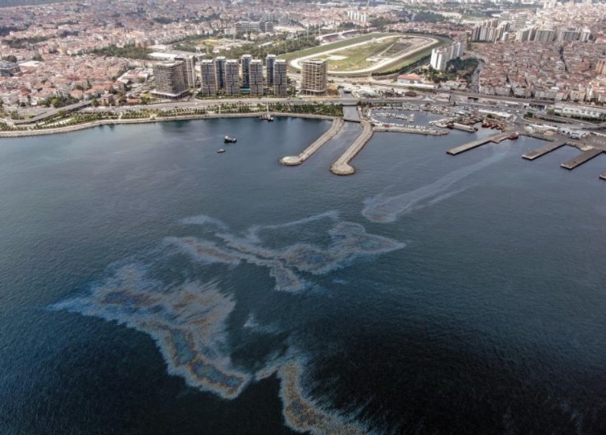 Zeytinburnu sahilinde mazot kirliliği
