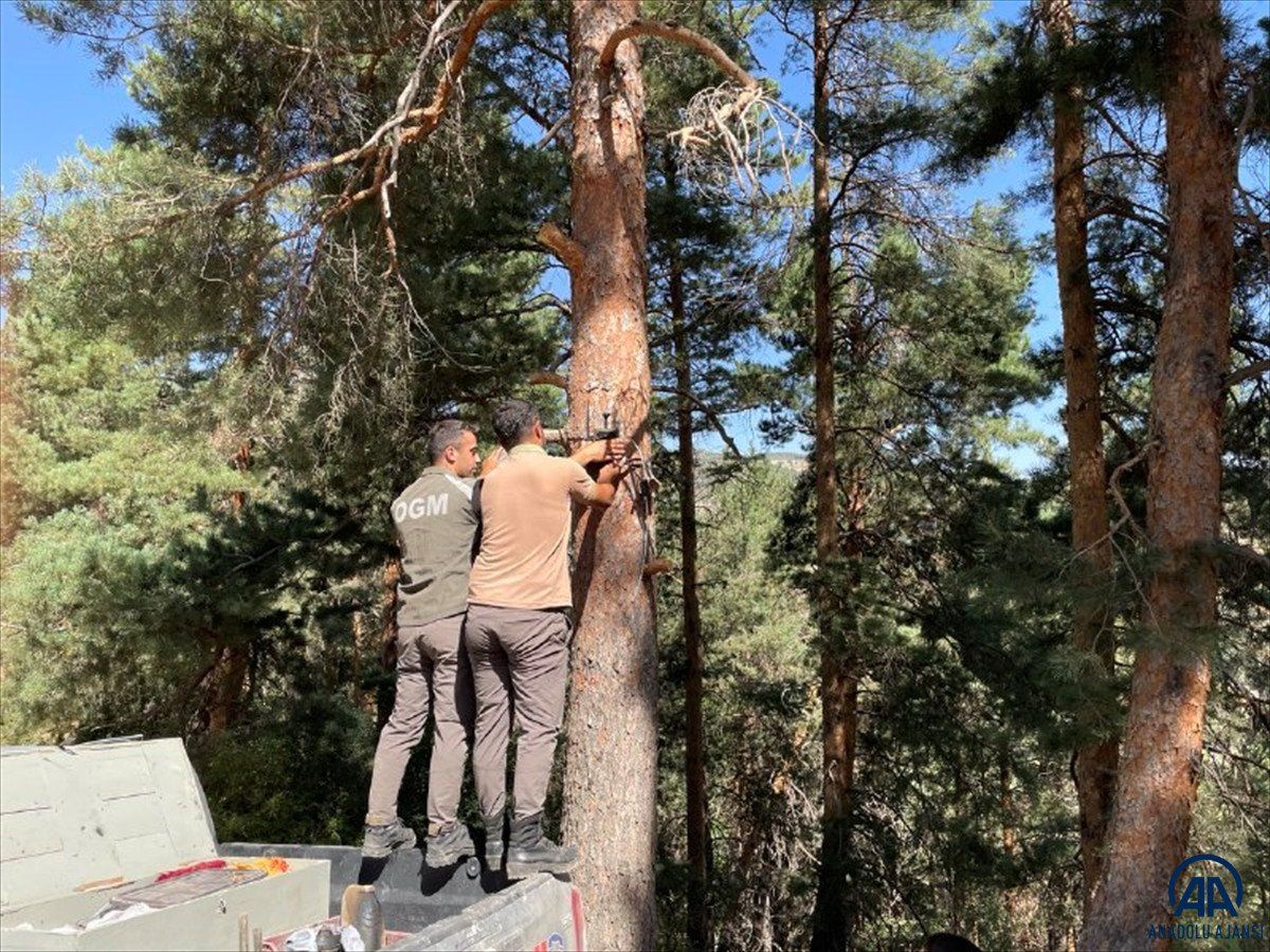 Kars'ta ormanlar yapay zeka fotokapanlarla korunuyor