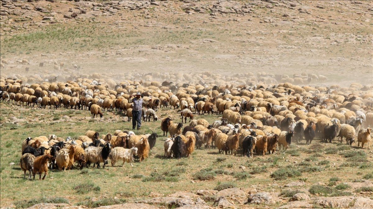 Yaylalarda konaklayan göçerlerin kış dönüşü başladı