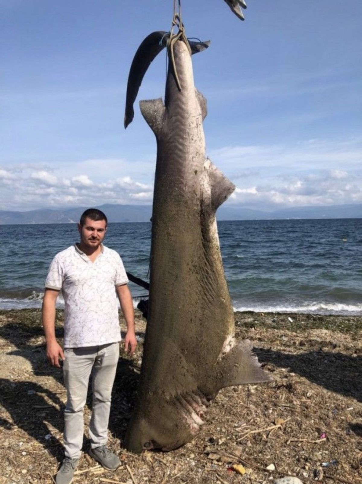 Bursa'daki balıkçının ağına köpek balığı takıldı