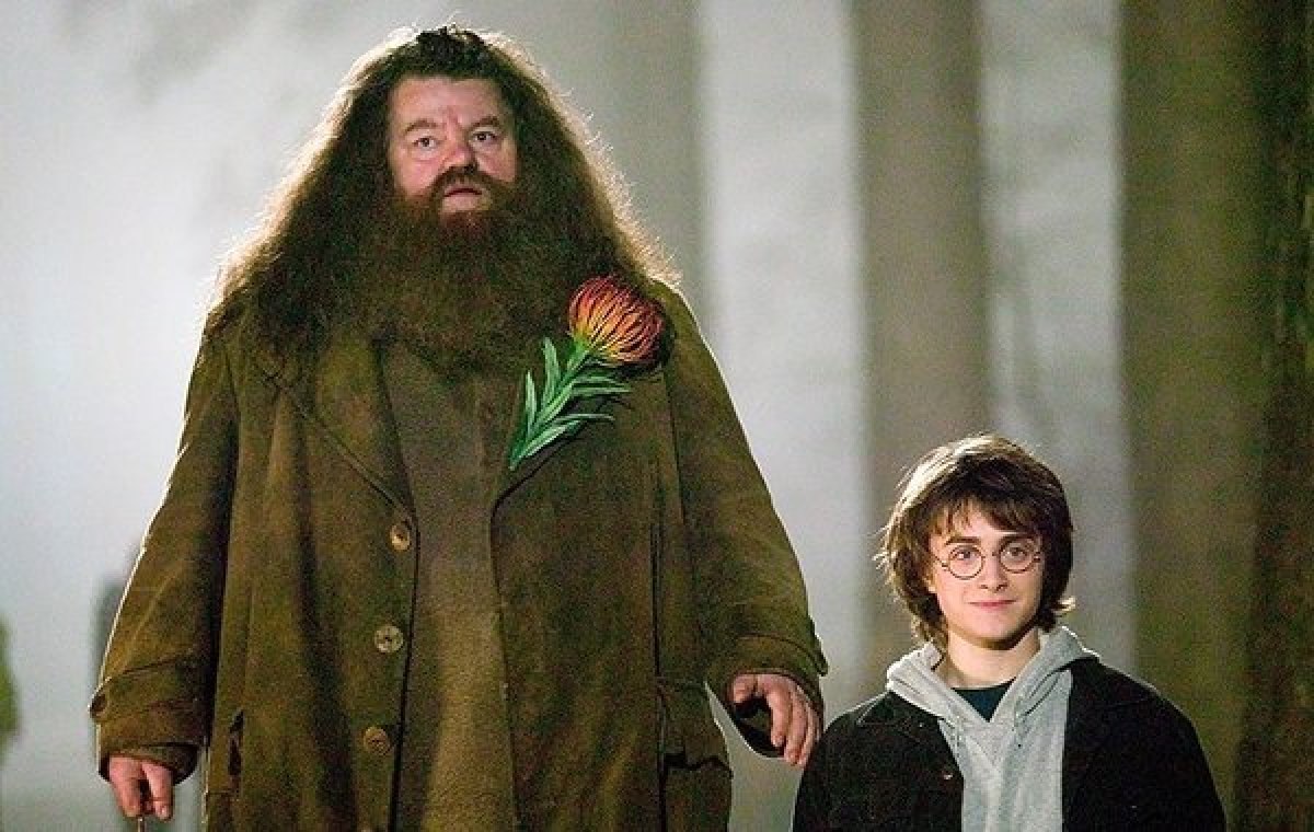 Harry Potter’ın Hagrid’i Robbie Coltrane neden öldü? Robbie Coltrane kimdir, nereli ve kaç yaşında?