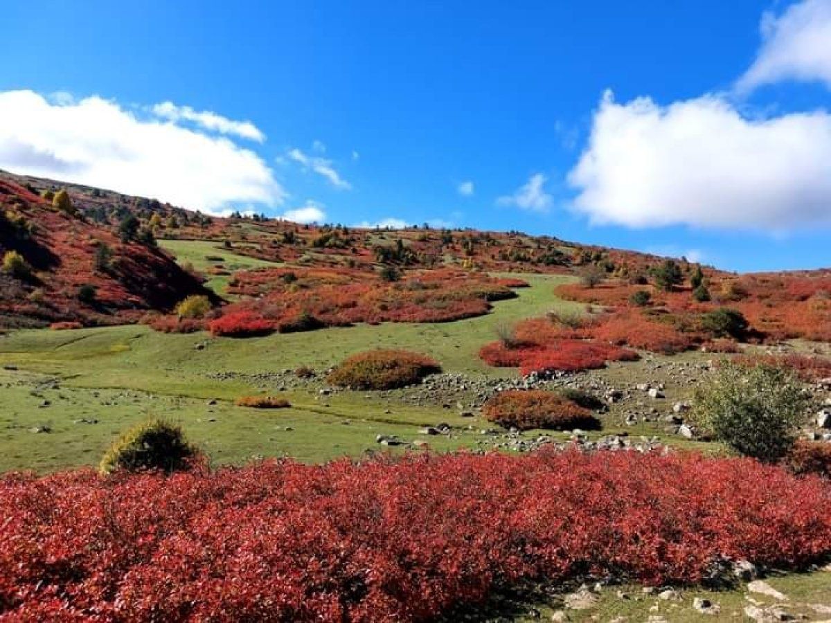 Ordu'nun yaylarında kartpostallık sonbahar manzarası