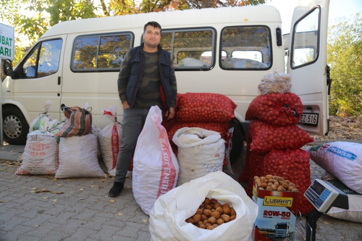 Denizli'de kabuğuna sığmayan lezzet 'ceviz' revaçta