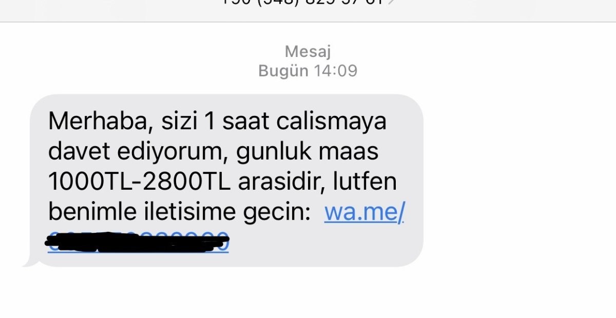 Siber korsanların yeni oyunu: Günlük 2 bin 800 lira kazanma vaadi