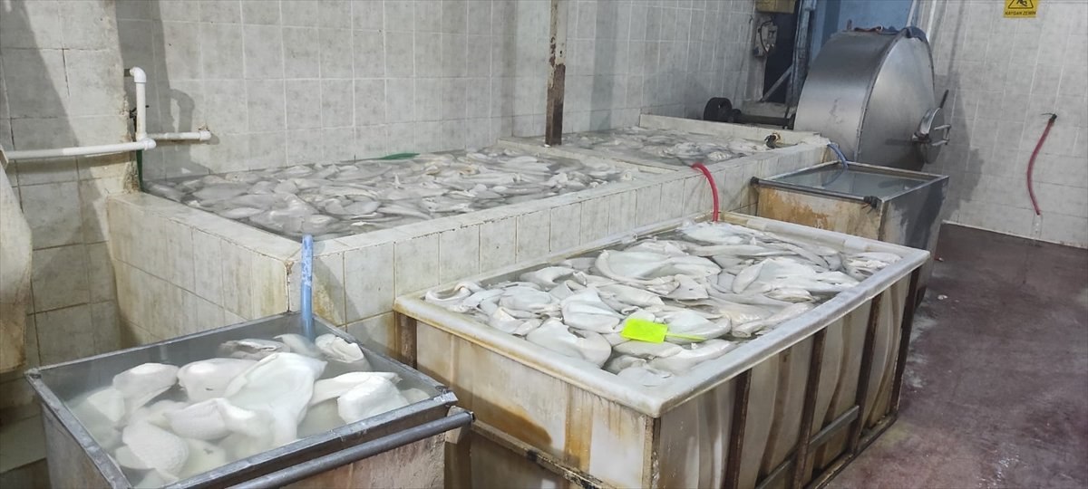 Ankara'da kurtlanan işkembe işlemden geçirilip piyasaya sürülüyor iddiası