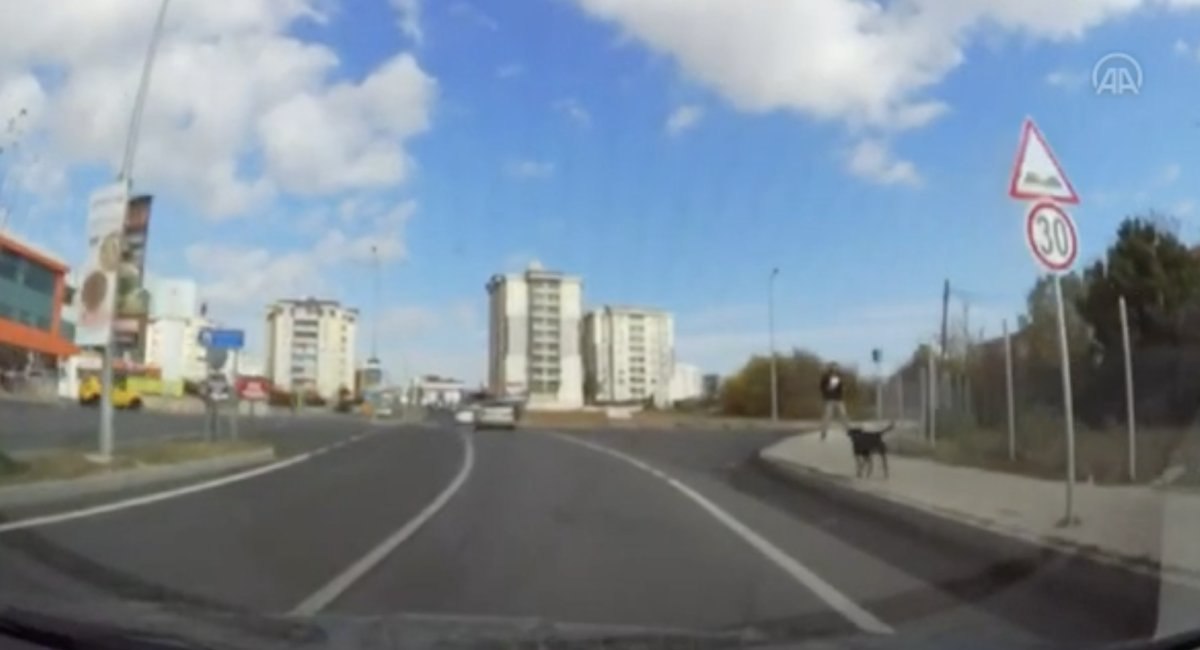 Tekirdağ'da sokak köpeğinin kovaladığı çocuğu kurtardı