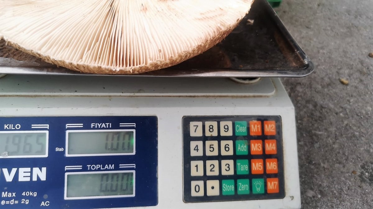 Denizli'de çıntar satan esnafın dikkat çeken fiyat etiketi