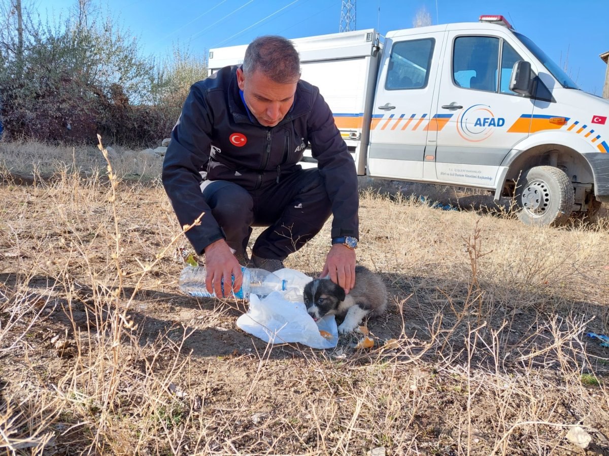 Van'da 2 yavru köpek 20 metrelik kuyudan düştü