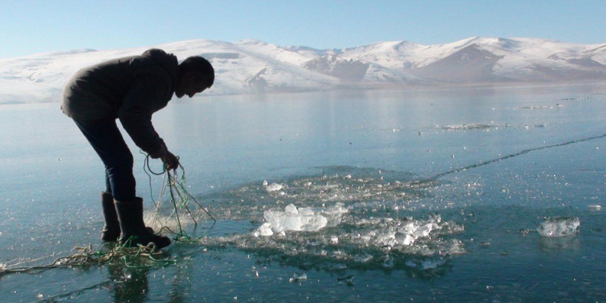 Çıldır Gölü'nde Eskimo usulü balık avı başladı
