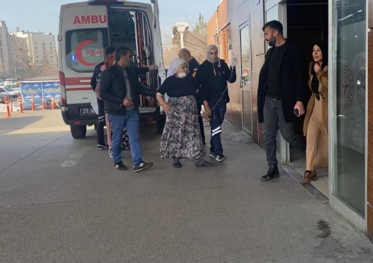 Diyarbakır’da yaşlı kadına köpek saldırısı! Çenesinden yaralandı