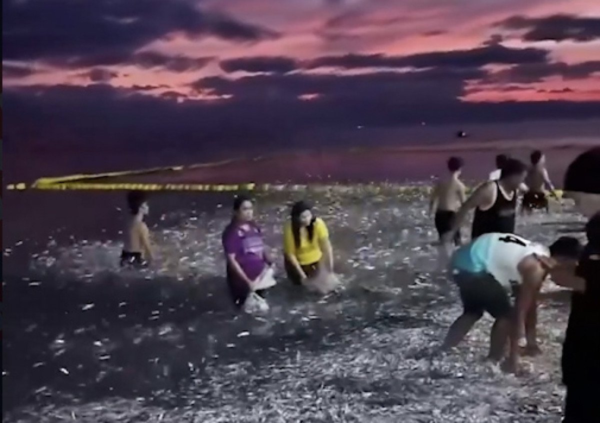 Filipinler'de Kıyıya Vuran Balıklar: Doğal Olay mı, Deprem Habercisi mi?