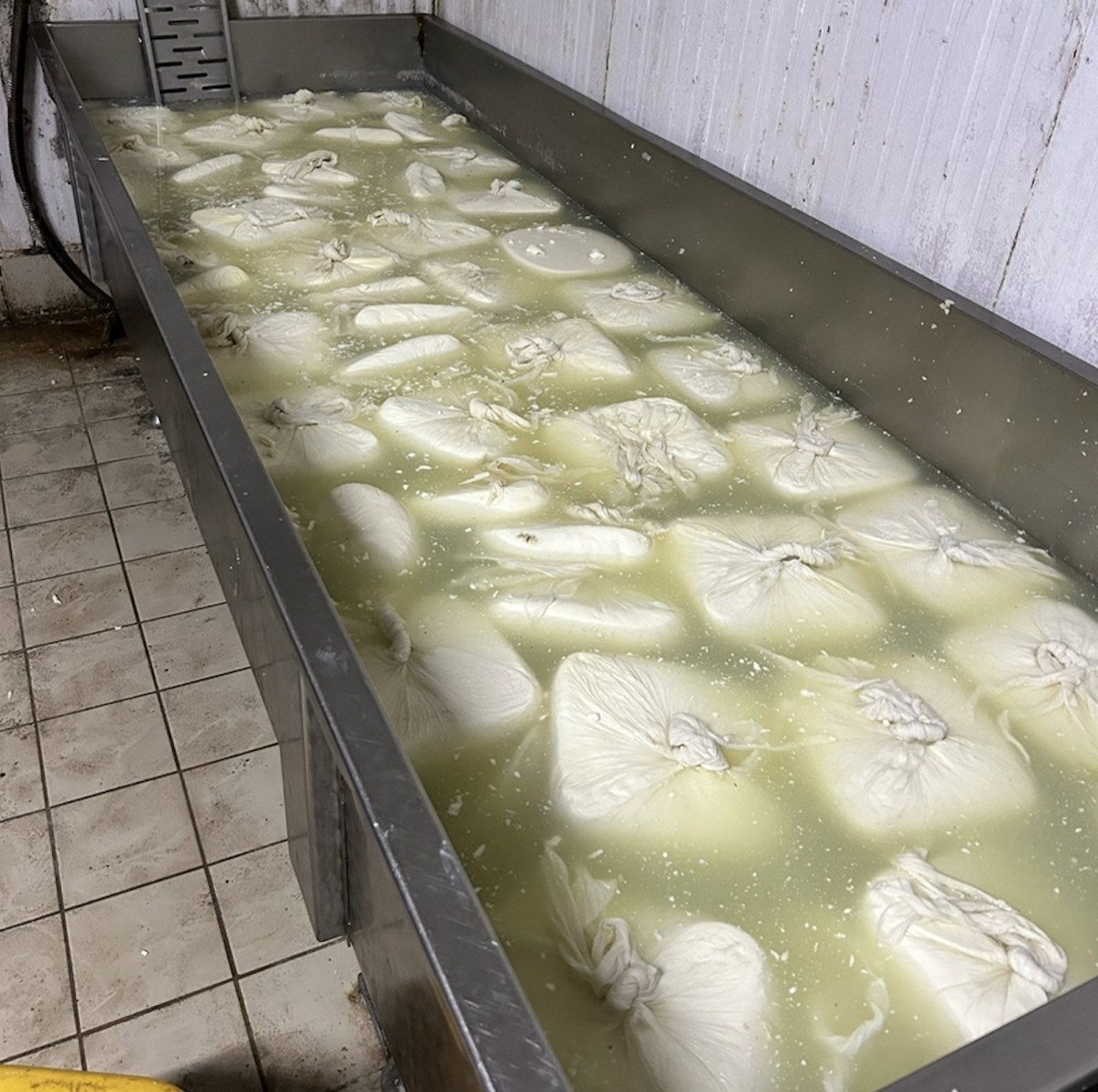 Piyasa süreceklerdi! 20 ton bozuk peynir imha edildi - Resim : 1
