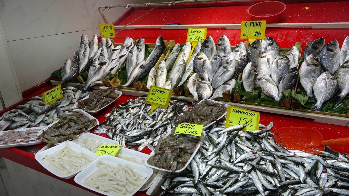 Çanakkale Bölgesi: Türkiye'nin Balık Zengini Yeri