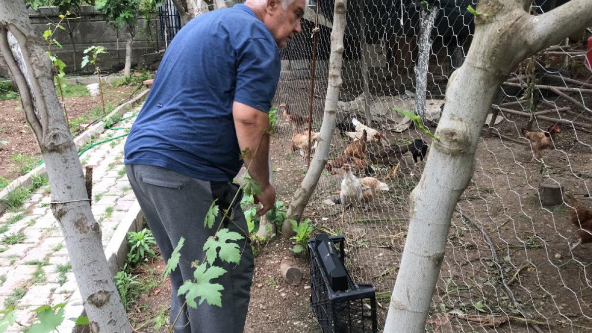 Yumurta verimini 4'e katladı! Yaptığı şeyle şoke etti - Resim : 2