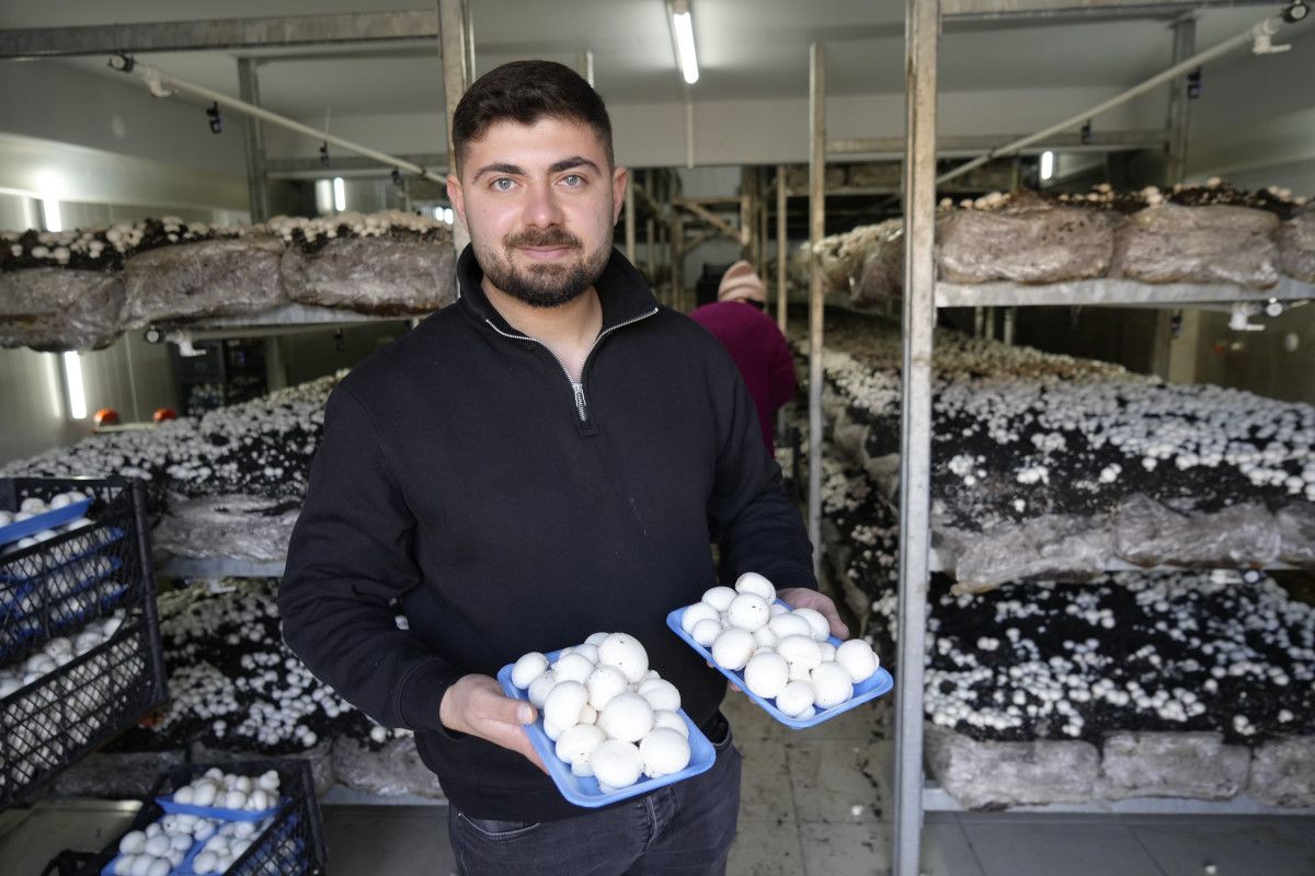 Genç Girişimci Buğra Şahinöz, Gümüşhane'de Mantar Üretim Tesisi Açtı