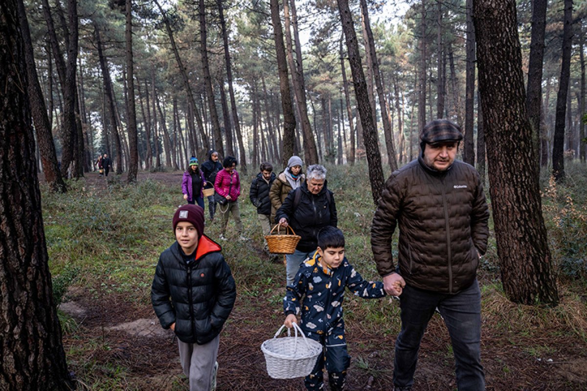 Mantar Avcılığına Dair Keşifler