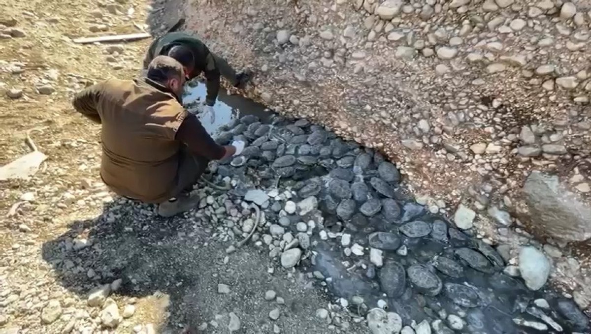 Şanlıurfa'da Sel Felaketinin Ardından Doğa Koruma Çalışmaları