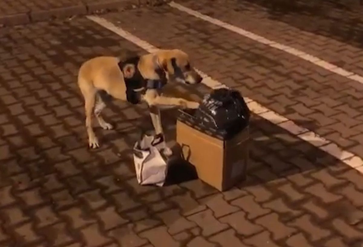 Kayseri’de salça bidonunda uyuşturucu ile yakalandı: 6 yıl 3 ay hapis verildi