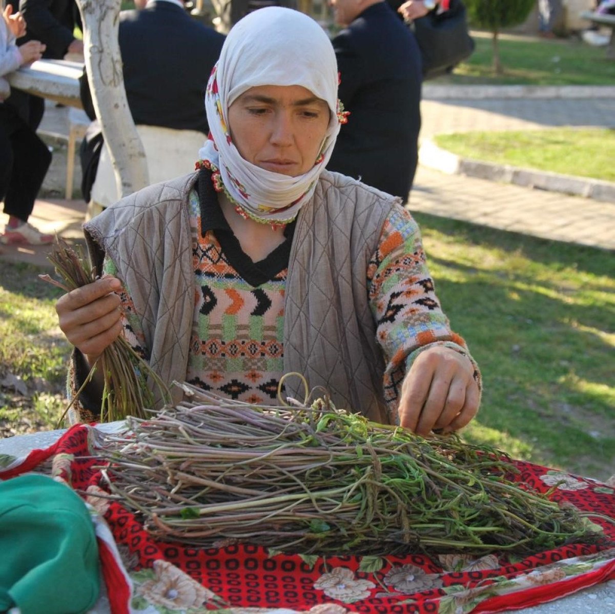 Bollaşınca Fiyatlar Düşüyor, Ama Kazanç Artıyor